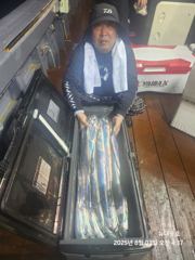 8월3일 철수조항 사진