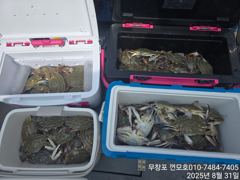 8월31일 7분 모시고 꽃게 다녀왔습니다. 사진