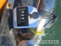 2025년 9월 4일 쭈갑조황 사진