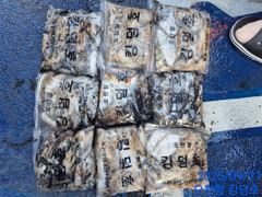 09월21 갑오징어 조황 입니다 사진