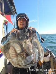 군산창성호 선상낚시 조황 사진