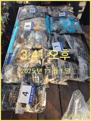 11/1 당진 장고항해안선호 조황사진 사진