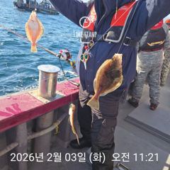 2월 3일 좋은 기상속에 어구가자미 잡으셨습니다. 사진
