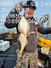 선상도다리 사진