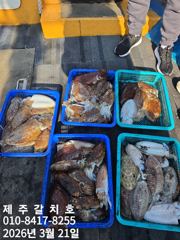 갑오징어도 "제주갈치호" 3월21일 조황 정보 사진