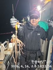 4월14일 대낙지 조황 사진