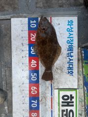 [해운호] 05월 09일 조황입니다. 사진
