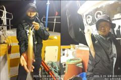뉴~한사리호 24일철수 한치 조황입니다 사진