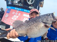 5/25일 우럭 단체 조황입니다 사진