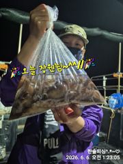 6월 5일 낙지조황 사진