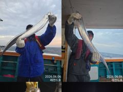 레전드피싱 녹동항에서 소수인원 모시고첫갈치출조다녀왔읍니다 사진