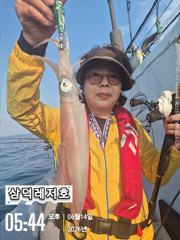 [한치]청기,백기,피딩,피딩,100수 오바(화요일 출항확정,예약중) 사진