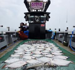 6.19 장현호 다잡아 외수질 조황정보 사진