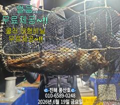 "화살촉오징어" 망탱가득~ 느나느나~ (월욜,예약가능합니다) 사진