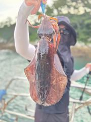 6월 21일 새벽출조 무늬 캐스팅 조황 사진