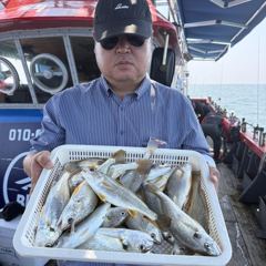 홍원항 백조기 6월 28일(일) [[[ 블랙펄호 ]]] 오도독 손맛이 아쉬웠지만 묵직한 수조기들로 손맛은 충분히 보고 왔네요~ 사진