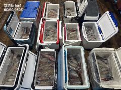 [왕한치]소수인원으로 많이잡고!! 오늘/내일 예약가능!! [준내만갈치] 예약가능합니다! 사진