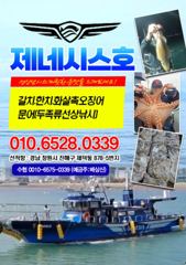 한치] 오늘 한치출항확정 예약가능~ 한치구덩이로 고고!!~ 사진