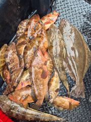 대박이야~ 사진