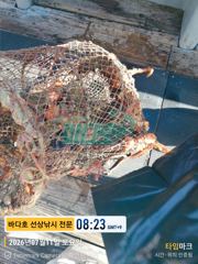 문어출조 조황사진 입니다 사진