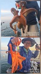 전투낚시 실시간!! 사진