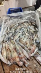한치 앞도 모르는 한치낚시 잼나게 해봅니다 사진