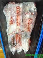 7.25 한치조황입니다! 몽둥이대포 잘나옵니다! 다음주 자리여유많아요 사진