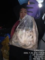 (((해림3호)))당일 야문 조항입니다 사진