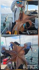 낼문어 잡으러 가즈아!! 사진
