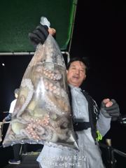 삼천포  문어조황! 주간반, 야간반 매일출조! 사진