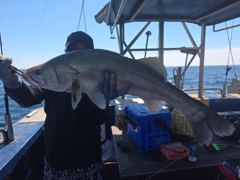 8일 외수질 굿굿 일찍철수했네요 사진