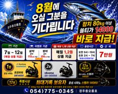 8월8일 오전5시 대삼치 출조합니다. 사진