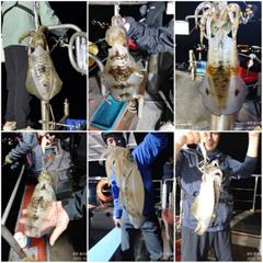 8월15~16일 이런애들 만나러 갑시다.. 저녁7시 무늬출조 사진
