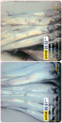 [통영] 통영 뉴 아시아호>> 머나먼 곳으로 대갈치 찾아서~ 사진