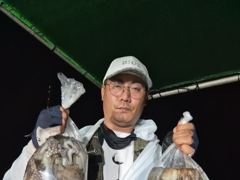 삼천포 문어조황! 주간반, 야간반 매일출조! 사진