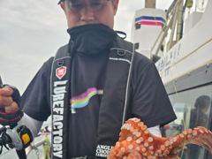 [진해] [진해문어낚시] 묵직하게 올라오는 돌문어 쭉쭉 올려주시며 찐한 … 사진