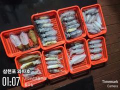 팁런 조황입니다 사진