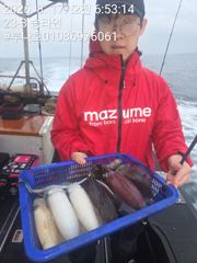 조금이른 무늬오징어 사진