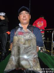 [사천] 우중속 야문입니다 사진