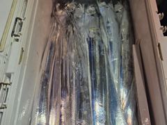 통영영운호14석) 왕갈치 씨알 마릿수 좋습니다  많이 잡았습니다 ~~오늘자리여유 사진