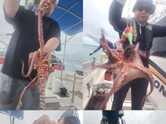 문어,20수에서8수까지 처음부터,끝까지 왕창,,(예약가능) 사진