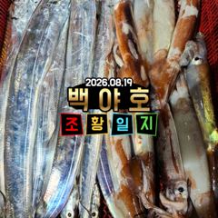 08.19 제주 백야호 한치 조황 사진