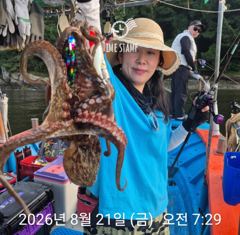 문어 장원 27마리! 사진