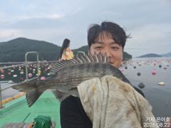 35전후마릿수 진행중 오전낚시 사진