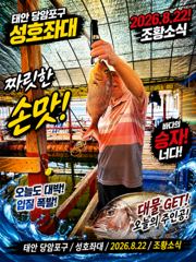 8.22 성호좌대 조황소식 사진