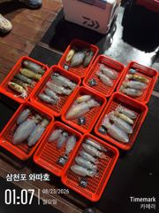 팁런 조황입니다 사진