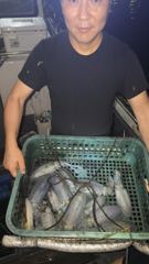 블루윙피싱 23일 팁럽 무늬 퍽퍽 물어줍니다 사진