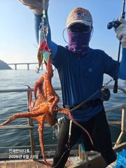 [진해] [진해문어낚시] 오늘도 묵직하게 올라오는 돌문어 찐한 손맛 보시… 사진