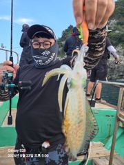 무뉘오징어 사진