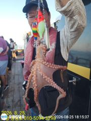 8-25(실시간)돌문어~수.목.금.토.일 자리 널널 합니다 사진